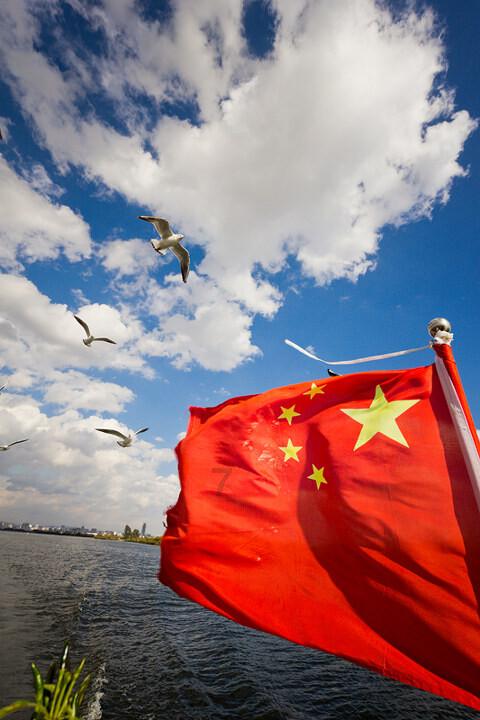 解救金刚鹦鹉